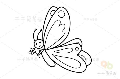 蝴蝶的简笔画